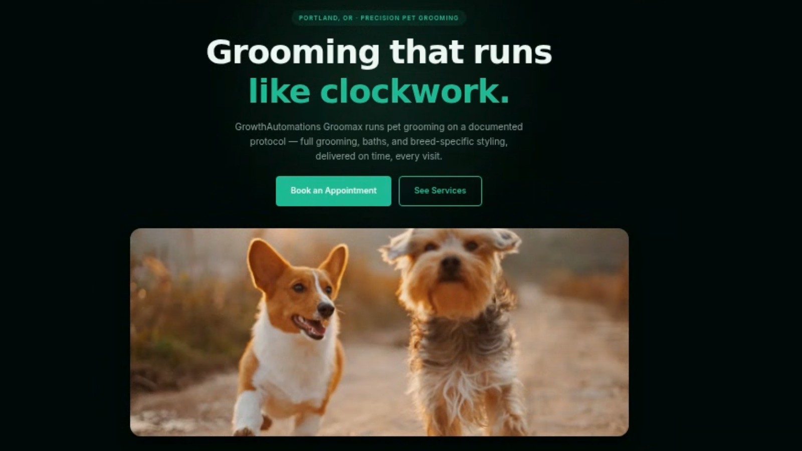 AstroJs Petgrooming Template